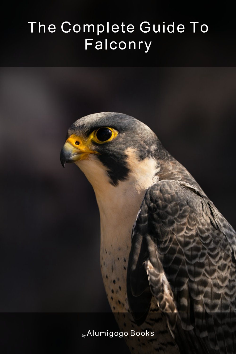 Cover of The Complete Guide to Falconry