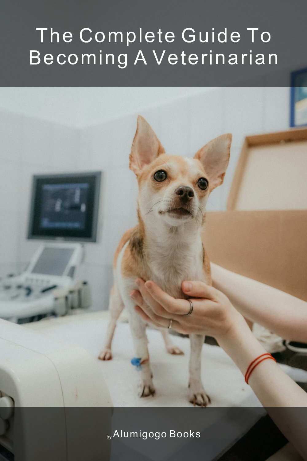 Cover of The Complete Guide to Becoming A Veterinarian