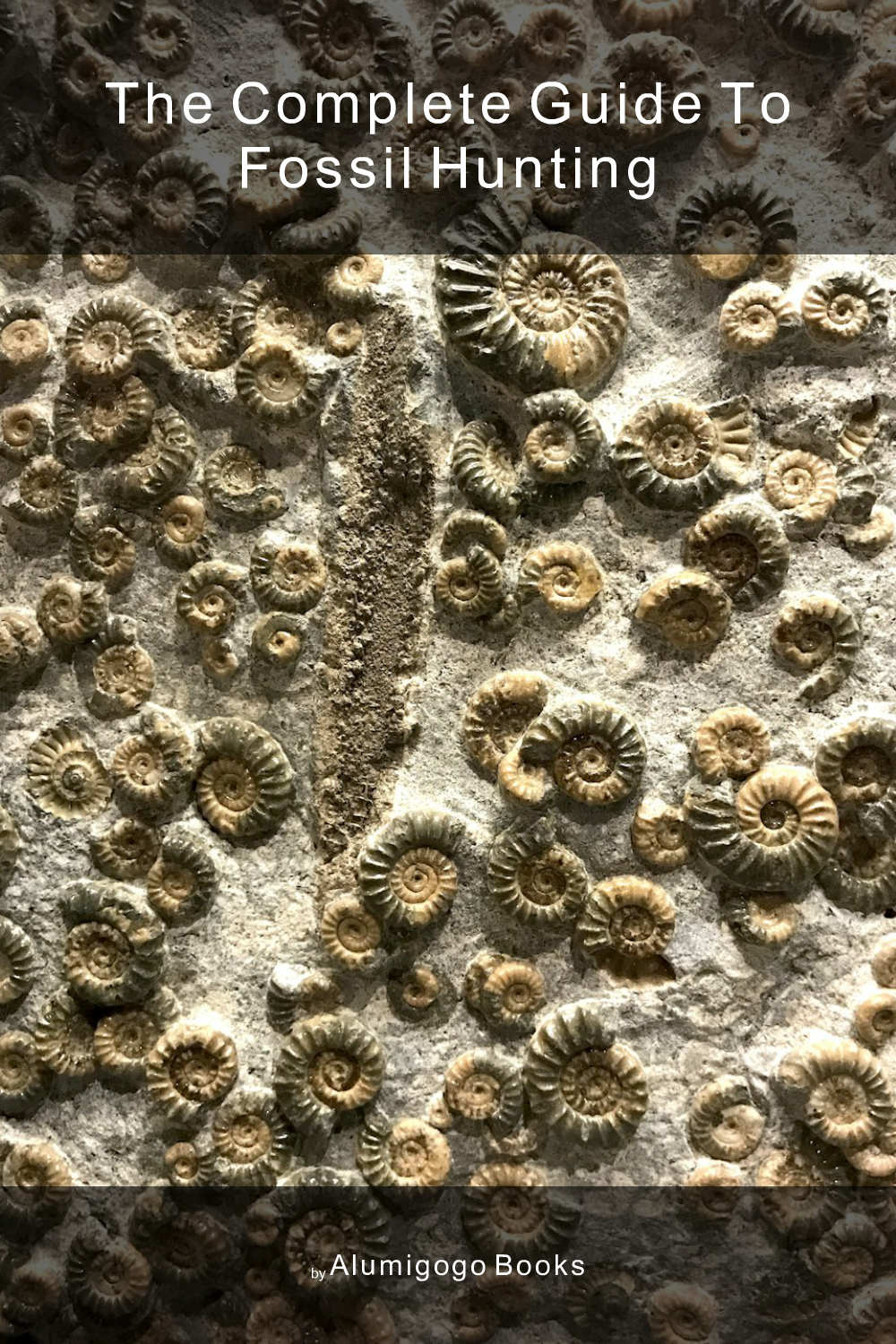 Cover of The Complete Guide to Fossil Hunting
