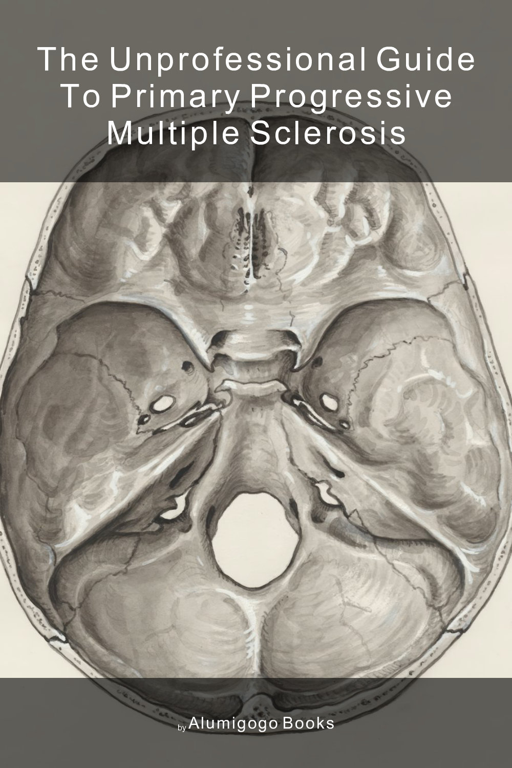 Cover of The Unprofessional Guide to primary progressive multiple sclerosis