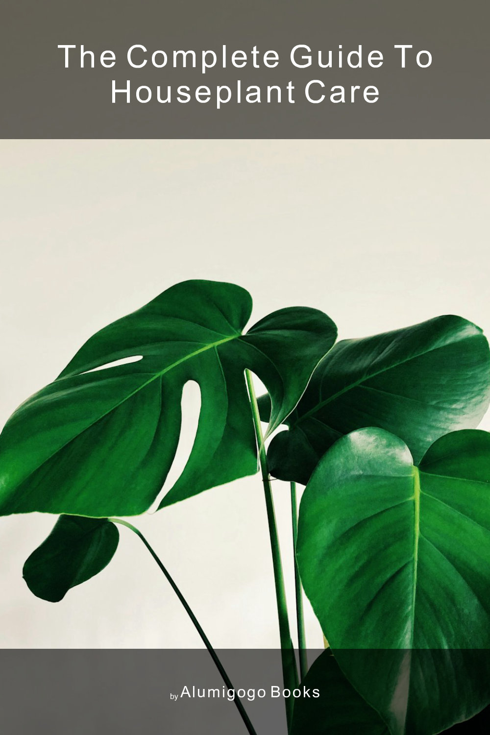 Cover of The Complete Guide to Houseplant Care