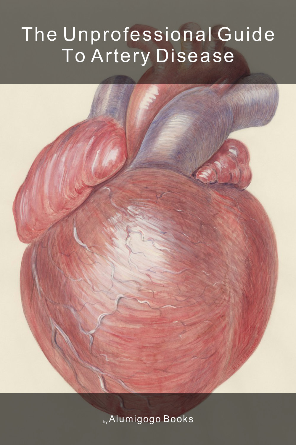 Cover of The Unprofessional Guide to artery disease