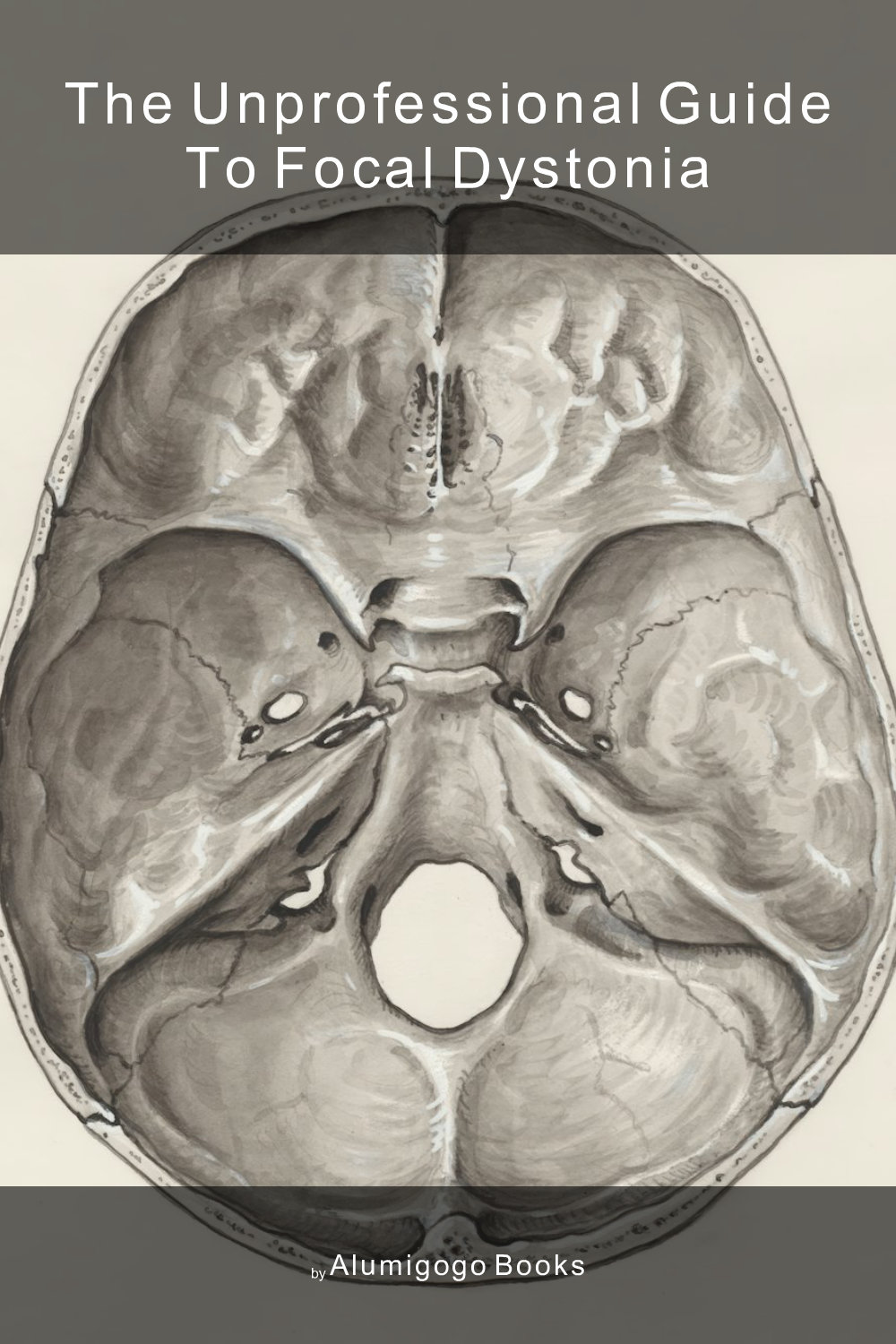 Cover of The Unprofessional Guide to focal dystonia
