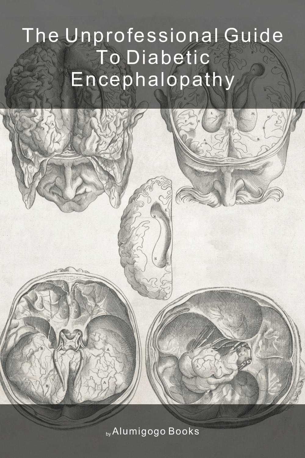 Cover of The Unprofessional Guide to diabetic encephalopathy