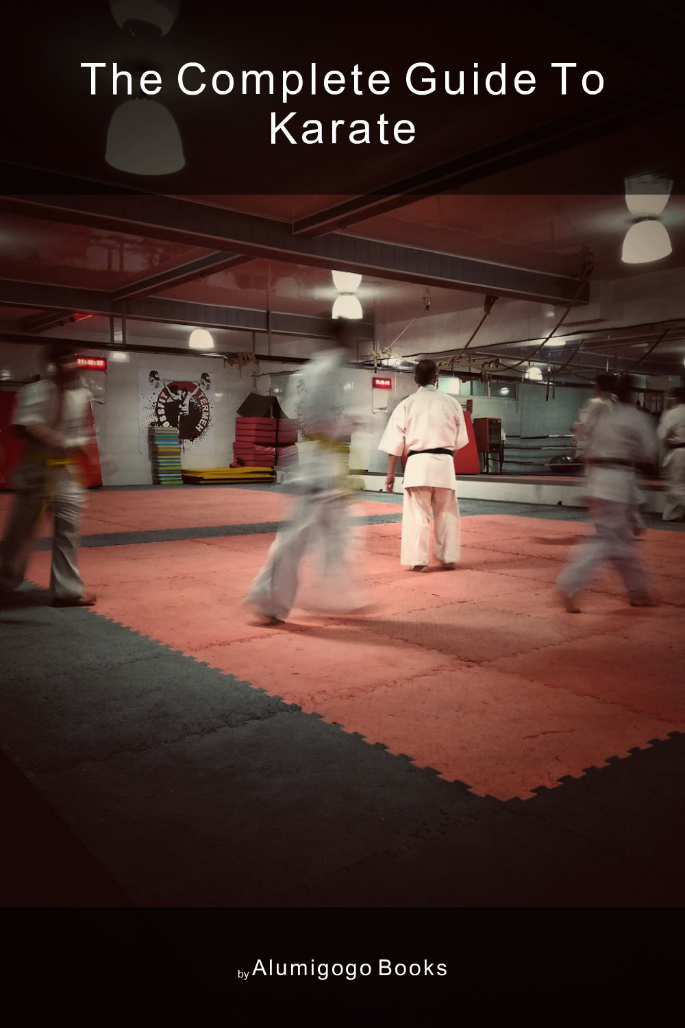 Cover of The Complete Guide to Karate