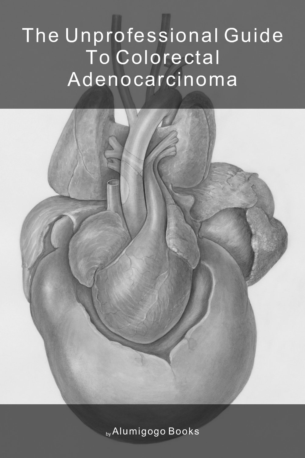 Cover of The Unprofessional Guide to colorectal adenocarcinoma