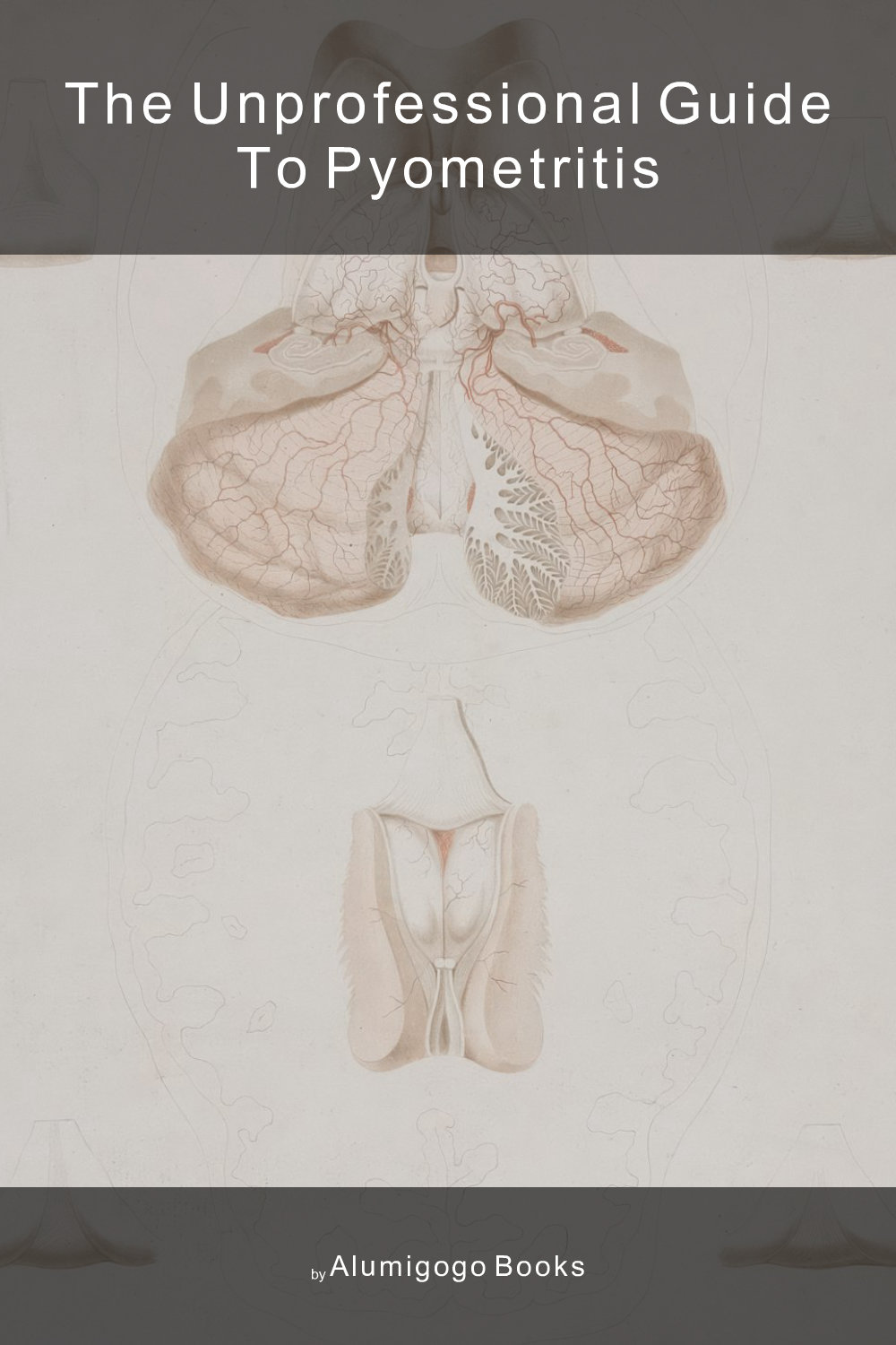 Cover of The Unprofessional Guide to pyometritis