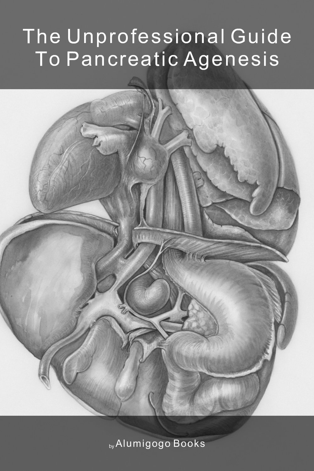 Cover of The Unprofessional Guide to pancreatic agenesis
