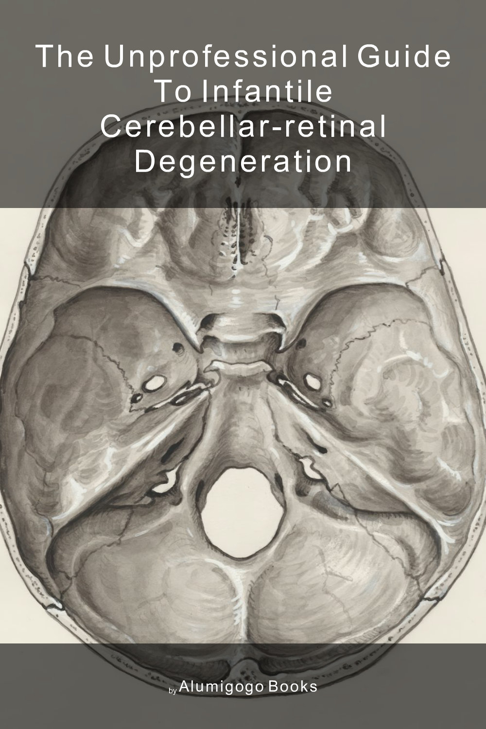 Cover of The Unprofessional Guide to infantile cerebellar-retinal degeneration