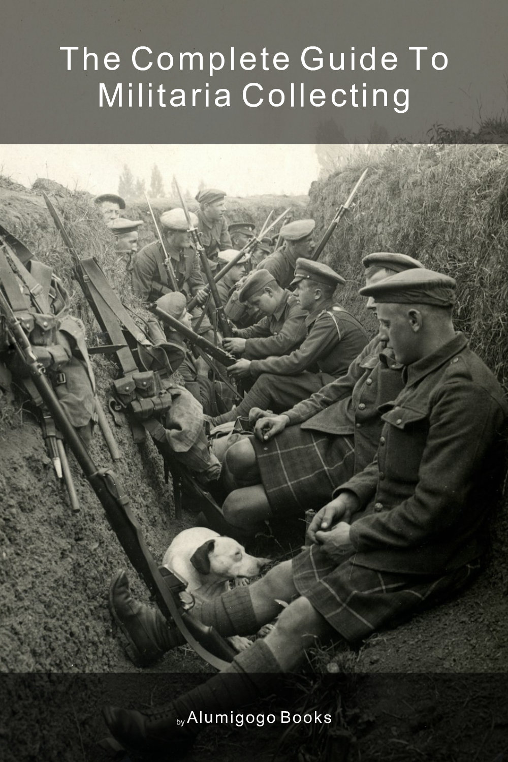 Cover of The Complete Guide to Militaria Collecting