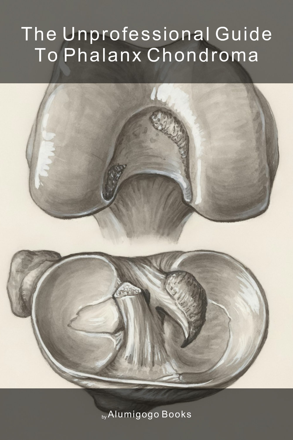 Cover of The Unprofessional Guide to phalanx chondroma