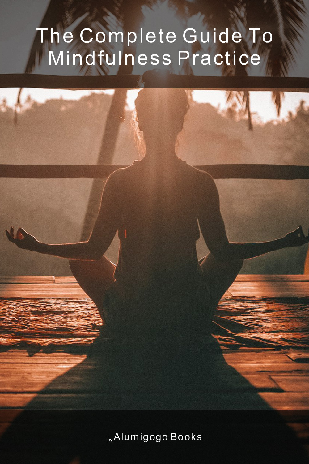 Cover of The Complete Guide to Mindfulness Practice
