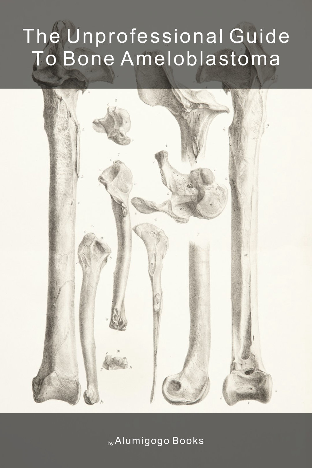 Cover of The Unprofessional Guide to bone ameloblastoma