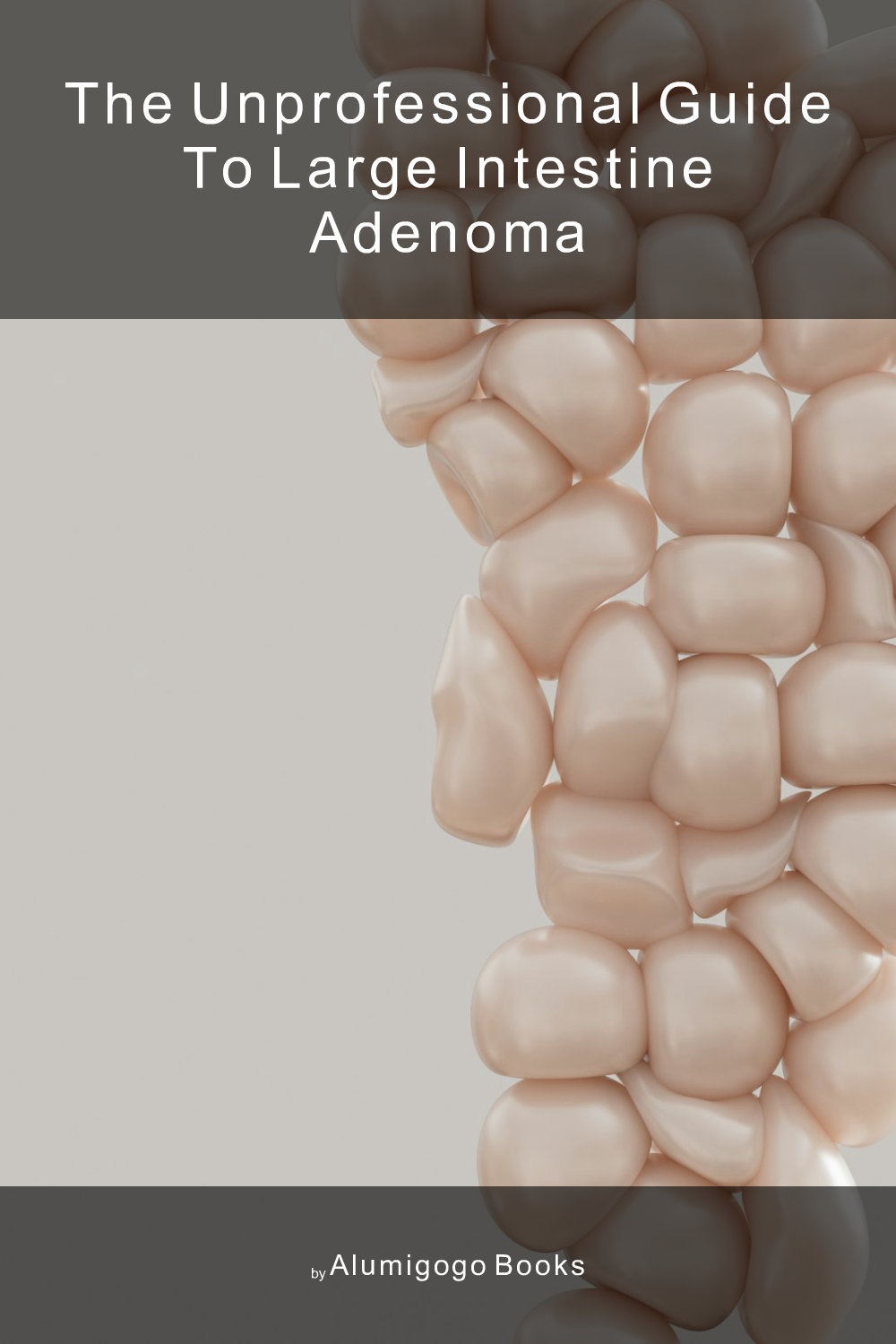 Cover of The Unprofessional Guide to large intestine adenoma