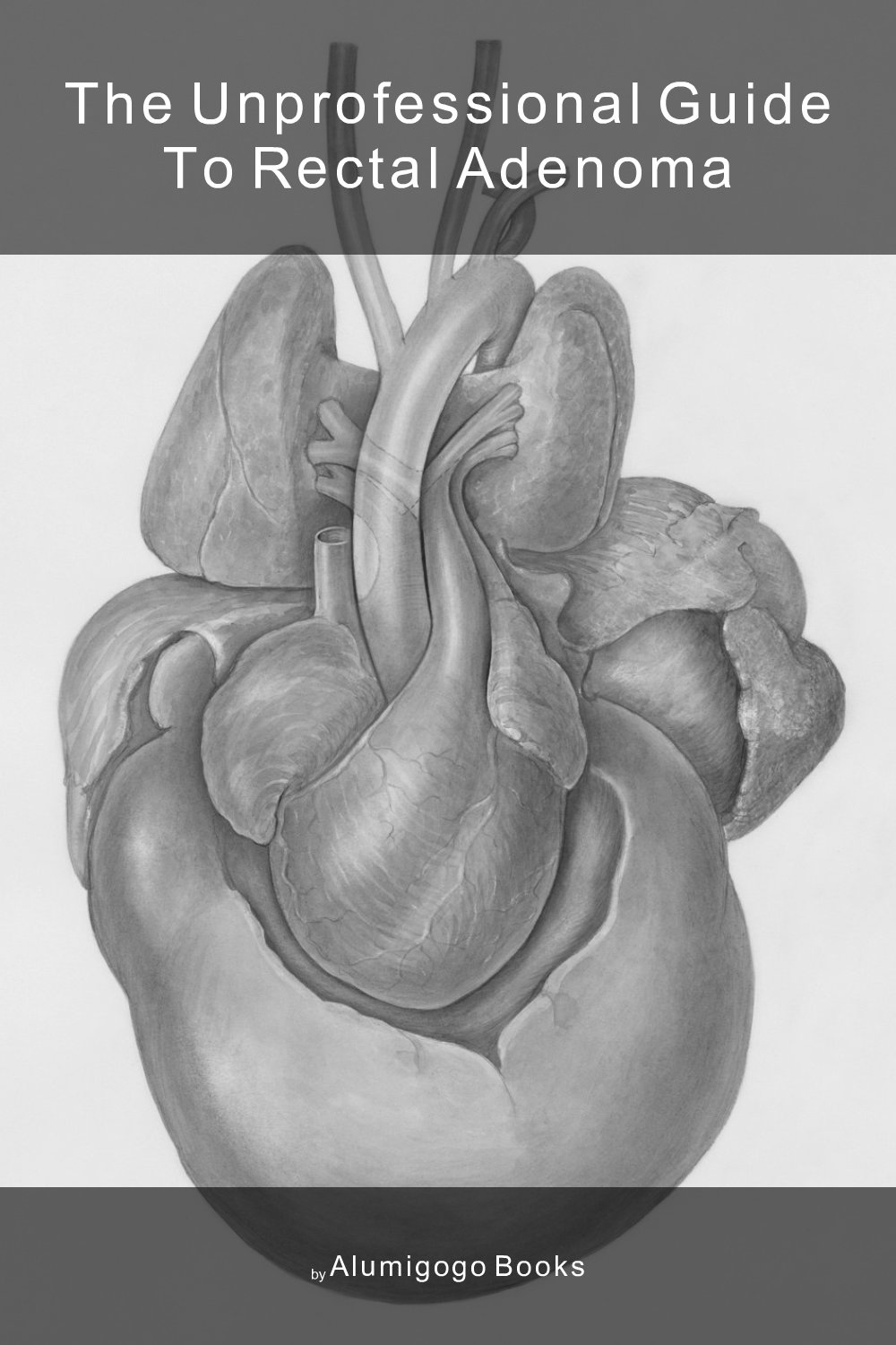 Cover of The Unprofessional Guide to rectal adenoma
