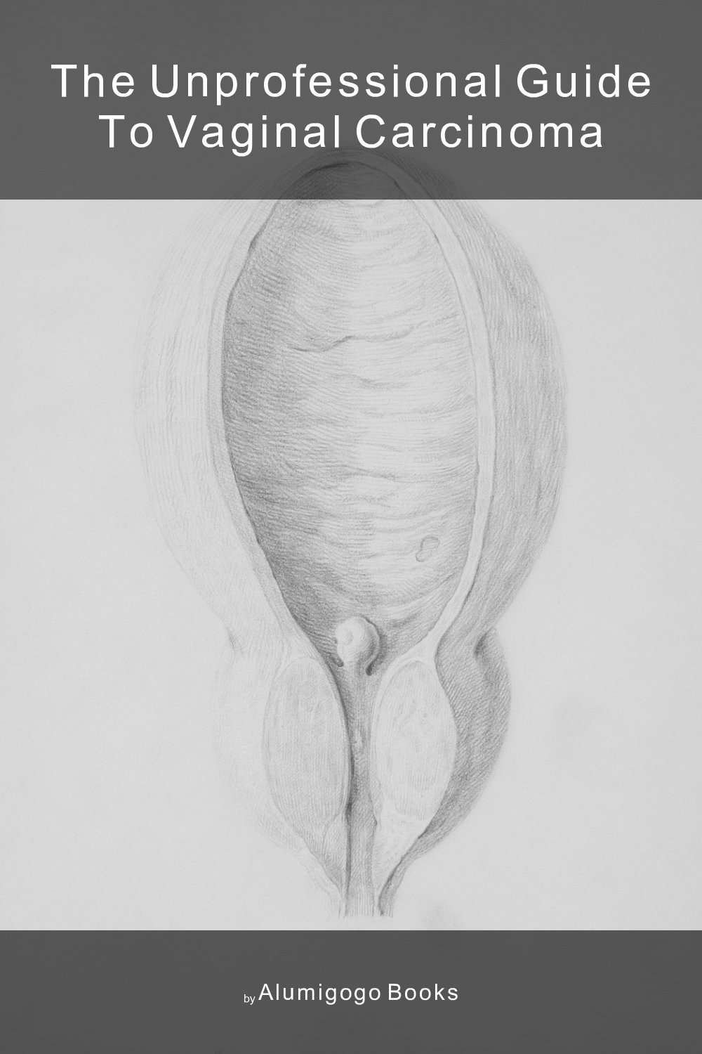 Cover of The Unprofessional Guide to vaginal carcinoma