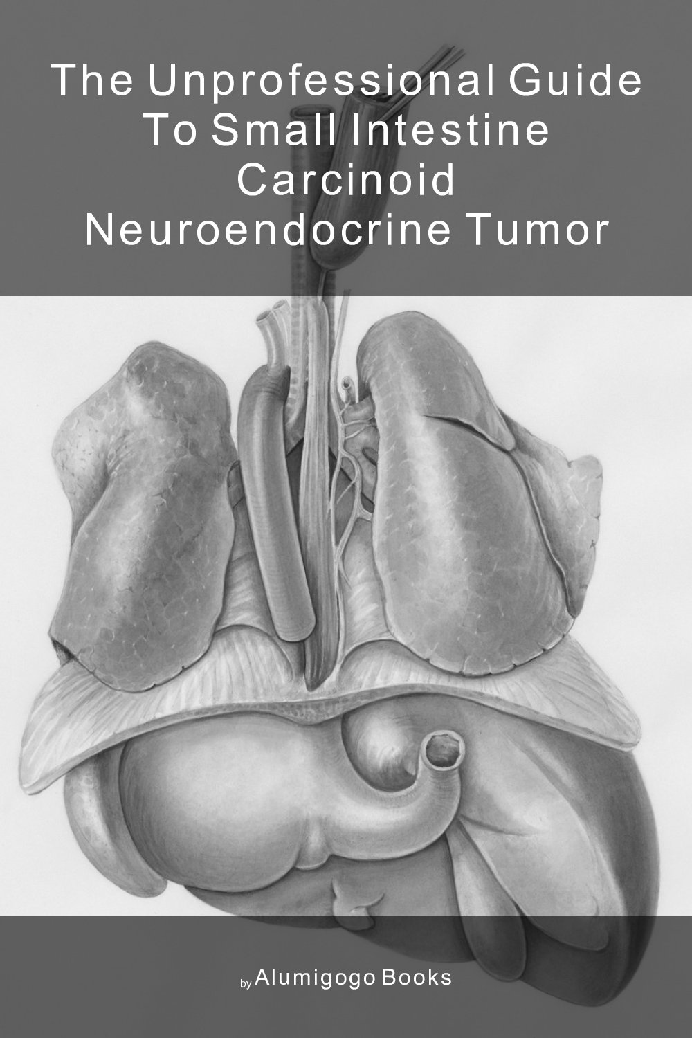 Cover of The Unprofessional Guide to small intestine carcinoid neuroendocrine tumor