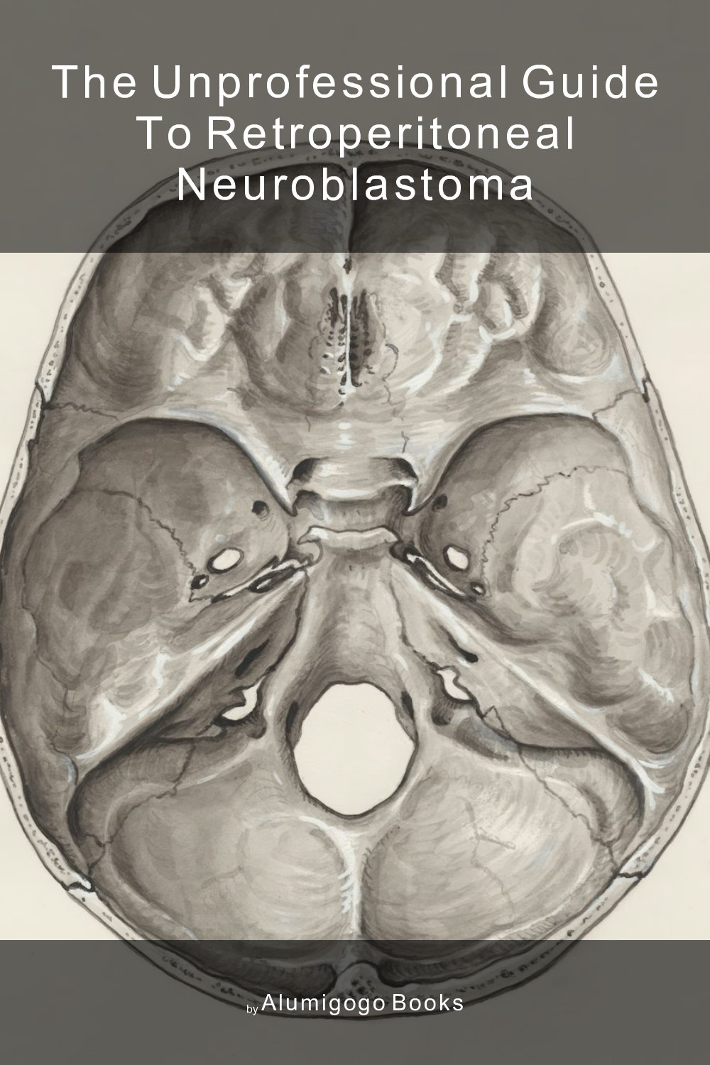 Cover of The Unprofessional Guide to retroperitoneal neuroblastoma