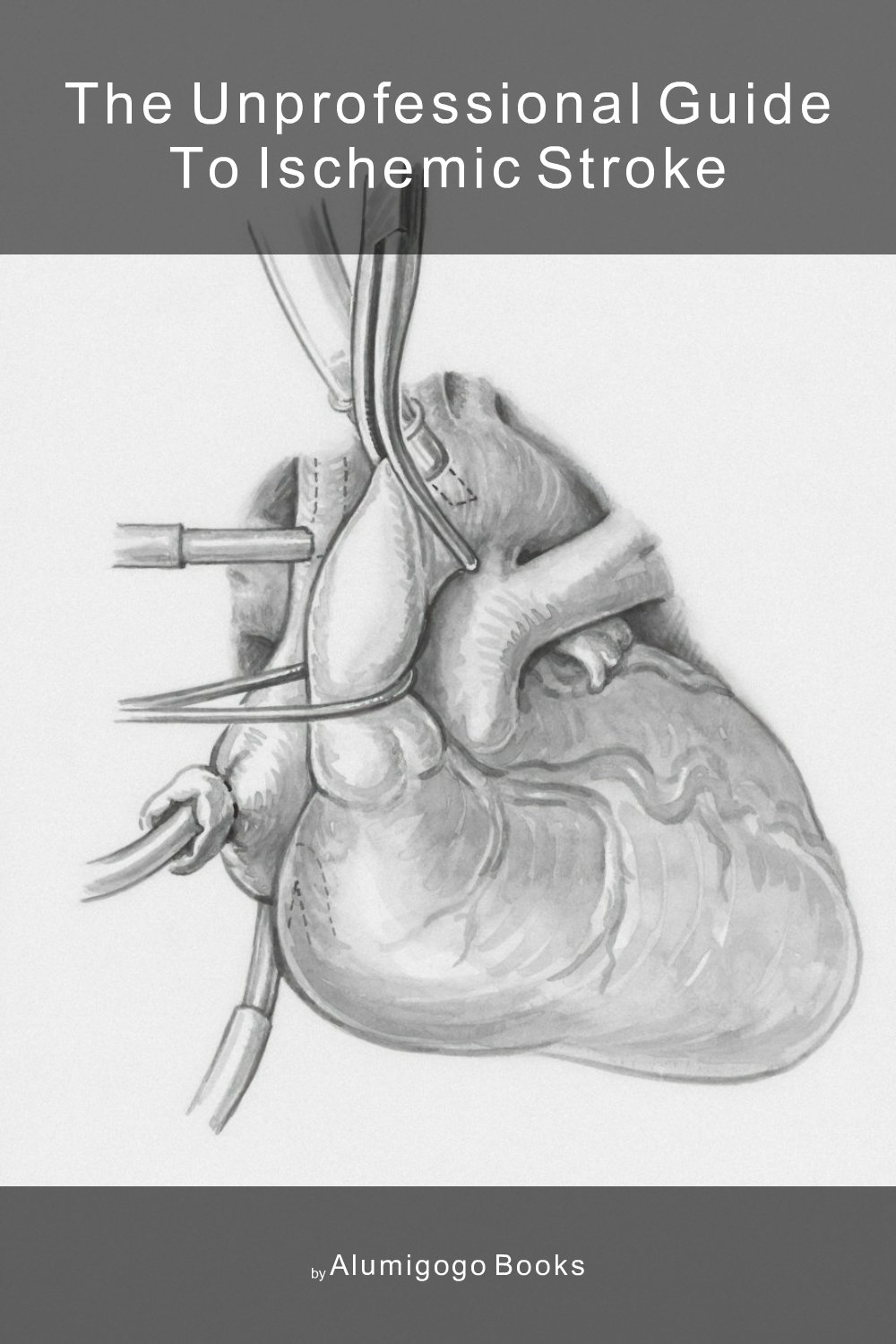 Cover of The Unprofessional Guide to ischemic stroke