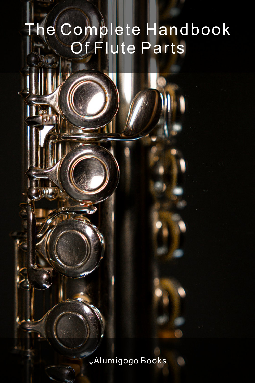 Cover of The Complete Handbook of Flute Parts