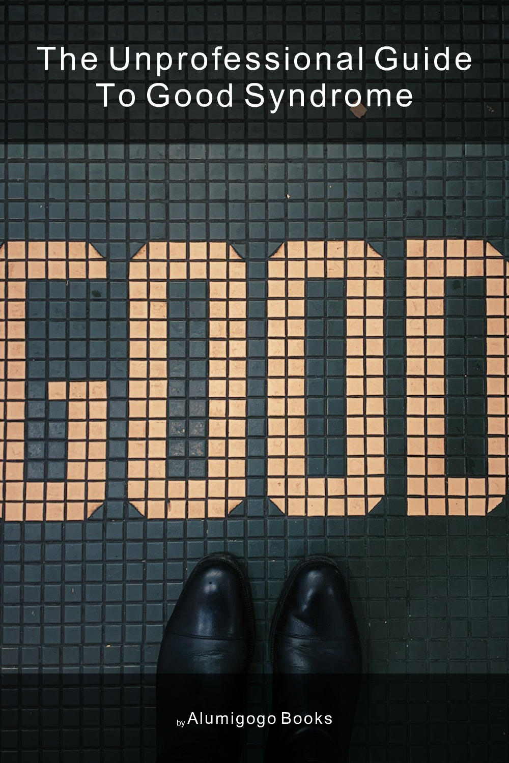 Cover of The Unprofessional Guide to Good syndrome