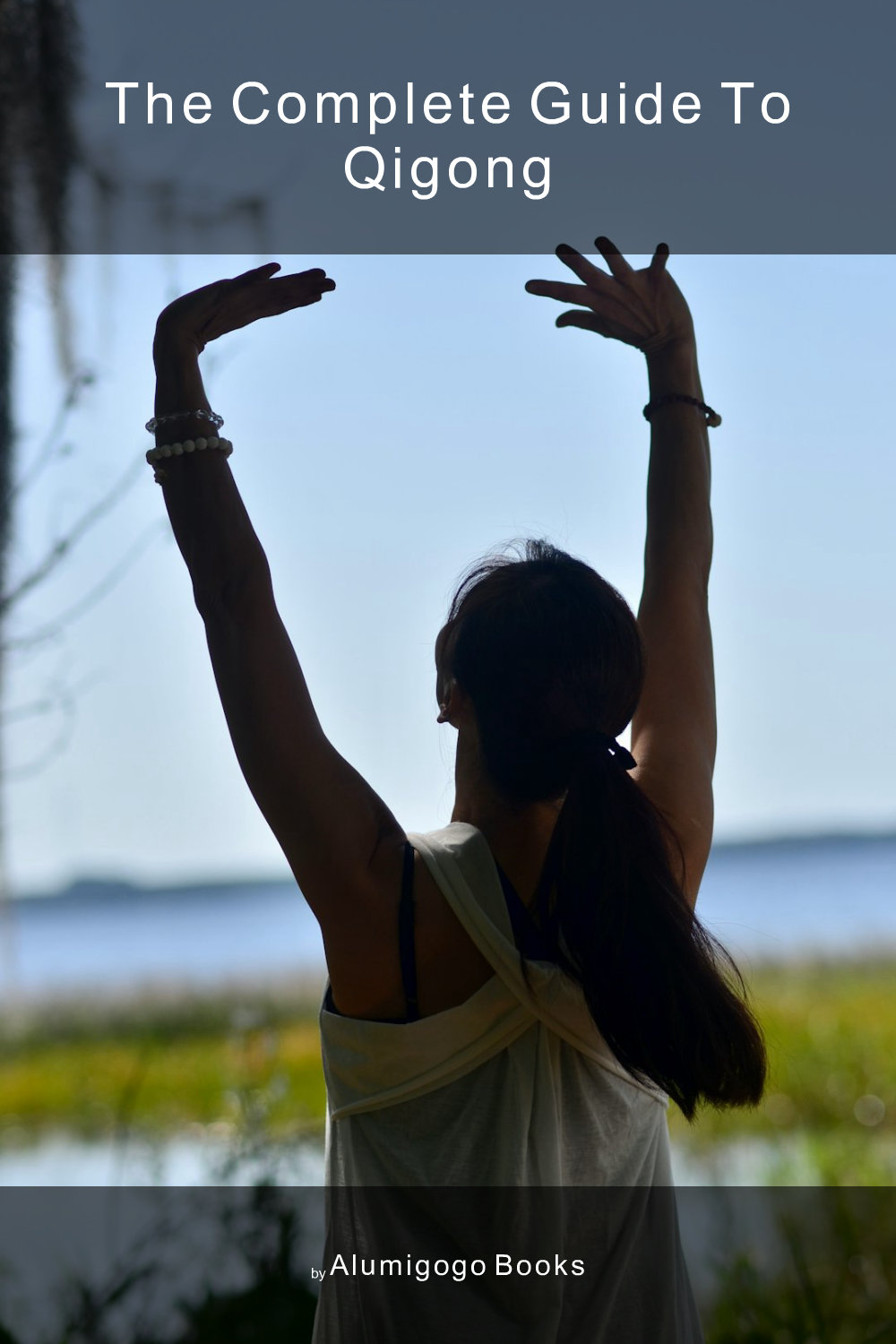 Cover of The Complete Guide to Qigong