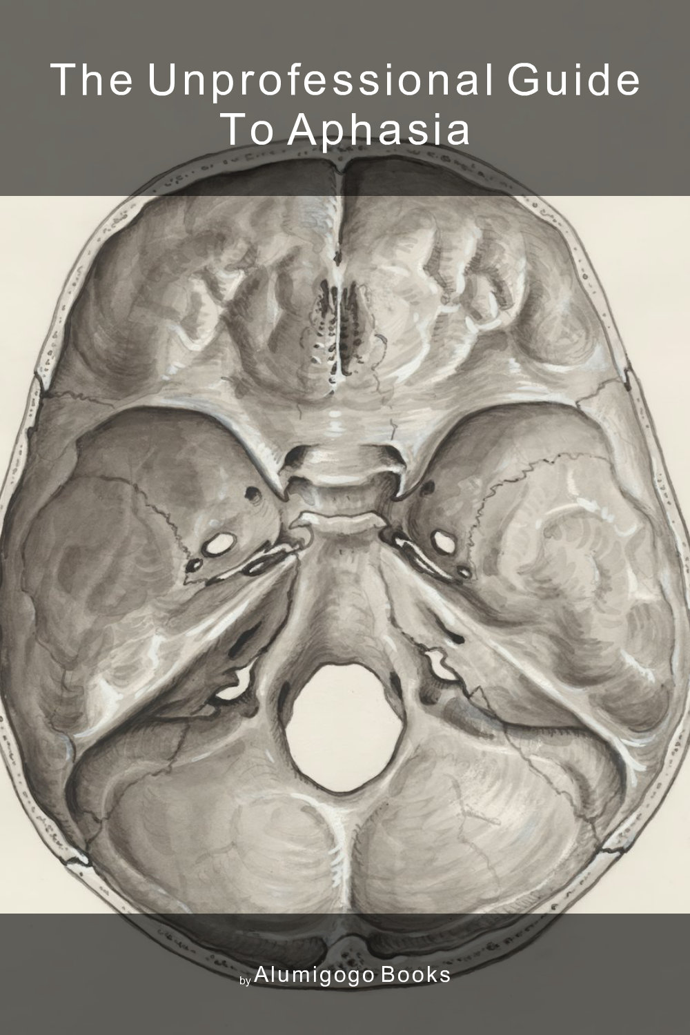 Cover of The Unprofessional Guide to aphasia