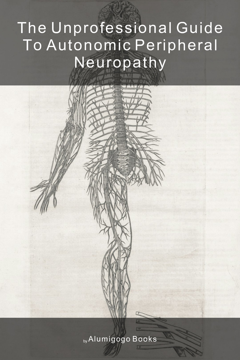 Cover of The Unprofessional Guide to autonomic peripheral neuropathy