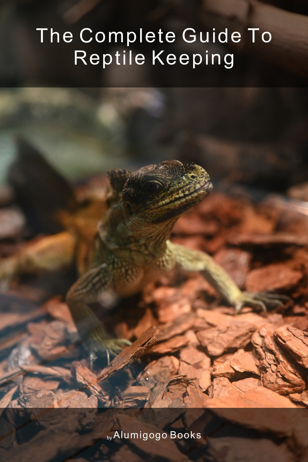 Cover of The Complete Guide to Reptile Keeping