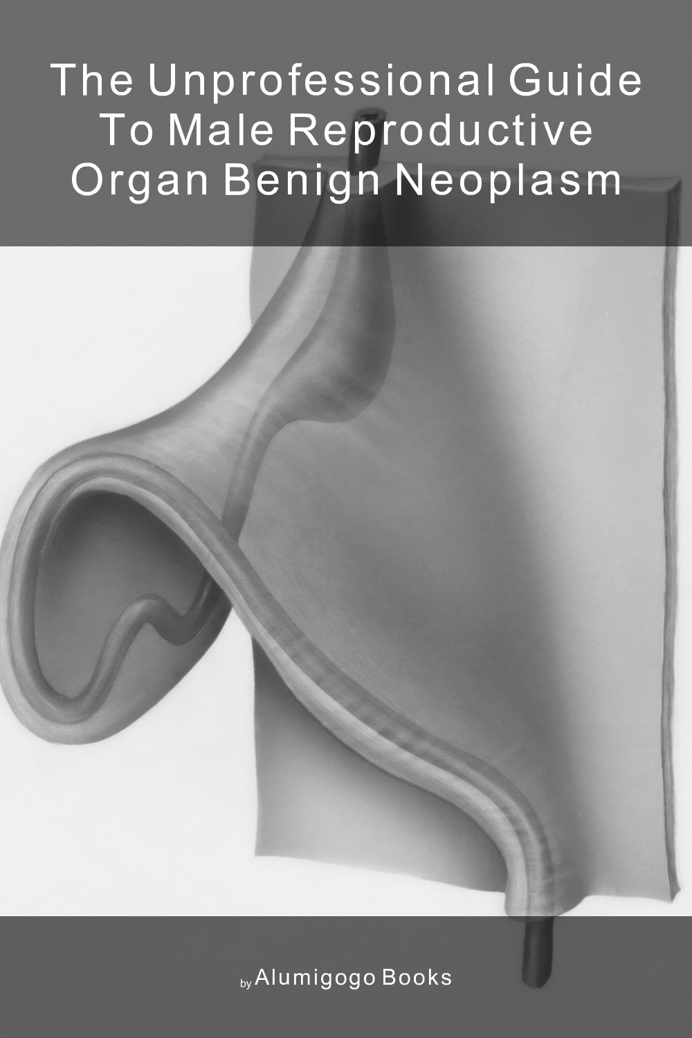 Cover of The Unprofessional Guide to male reproductive organ benign neoplasm
