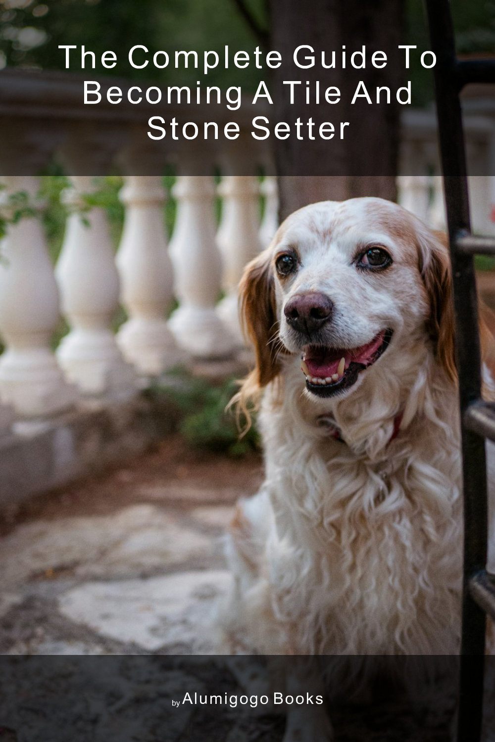 Cover of The Complete Guide to Becoming A Tile and Stone Setter