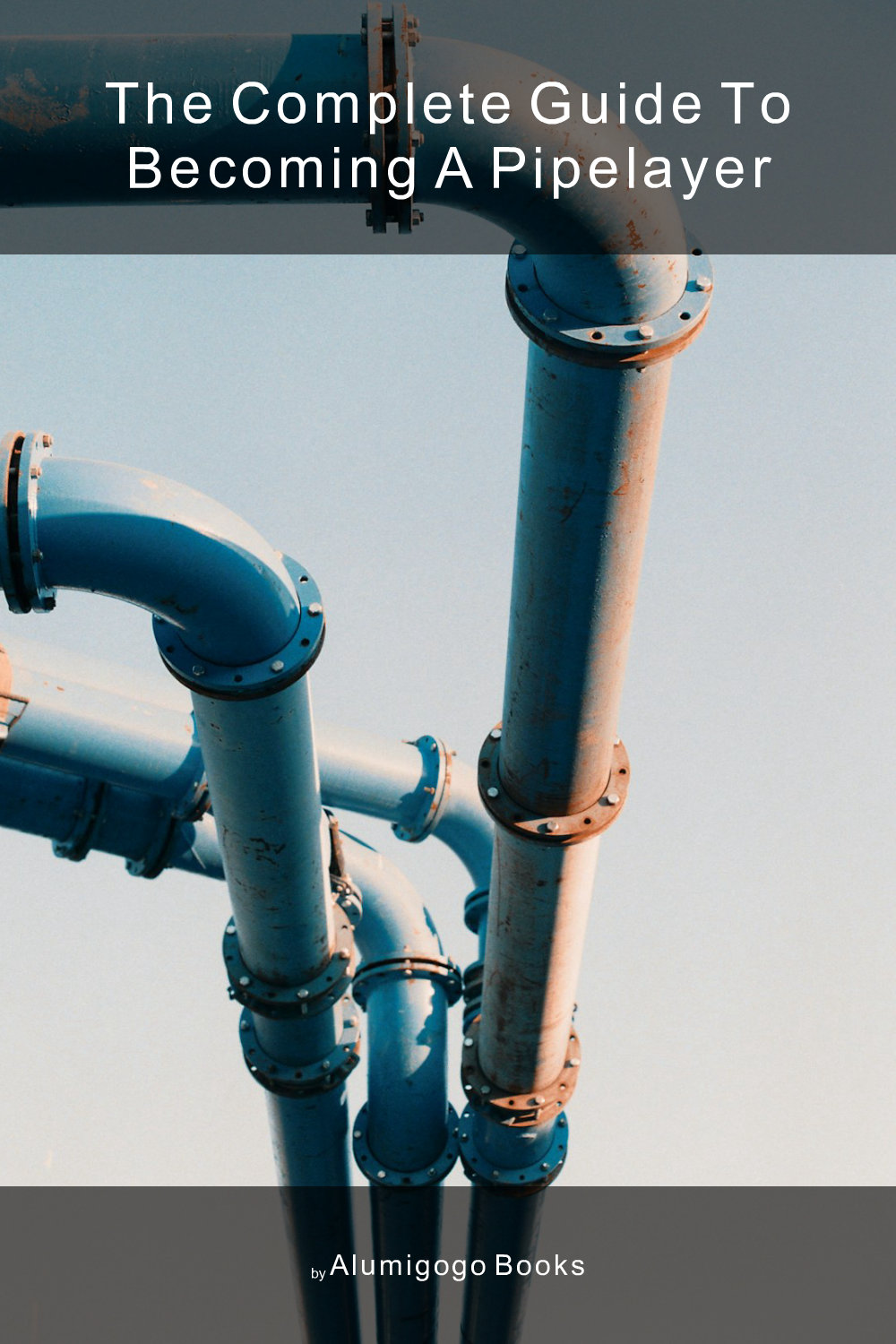Cover of The Complete Guide to Becoming A Pipelayer