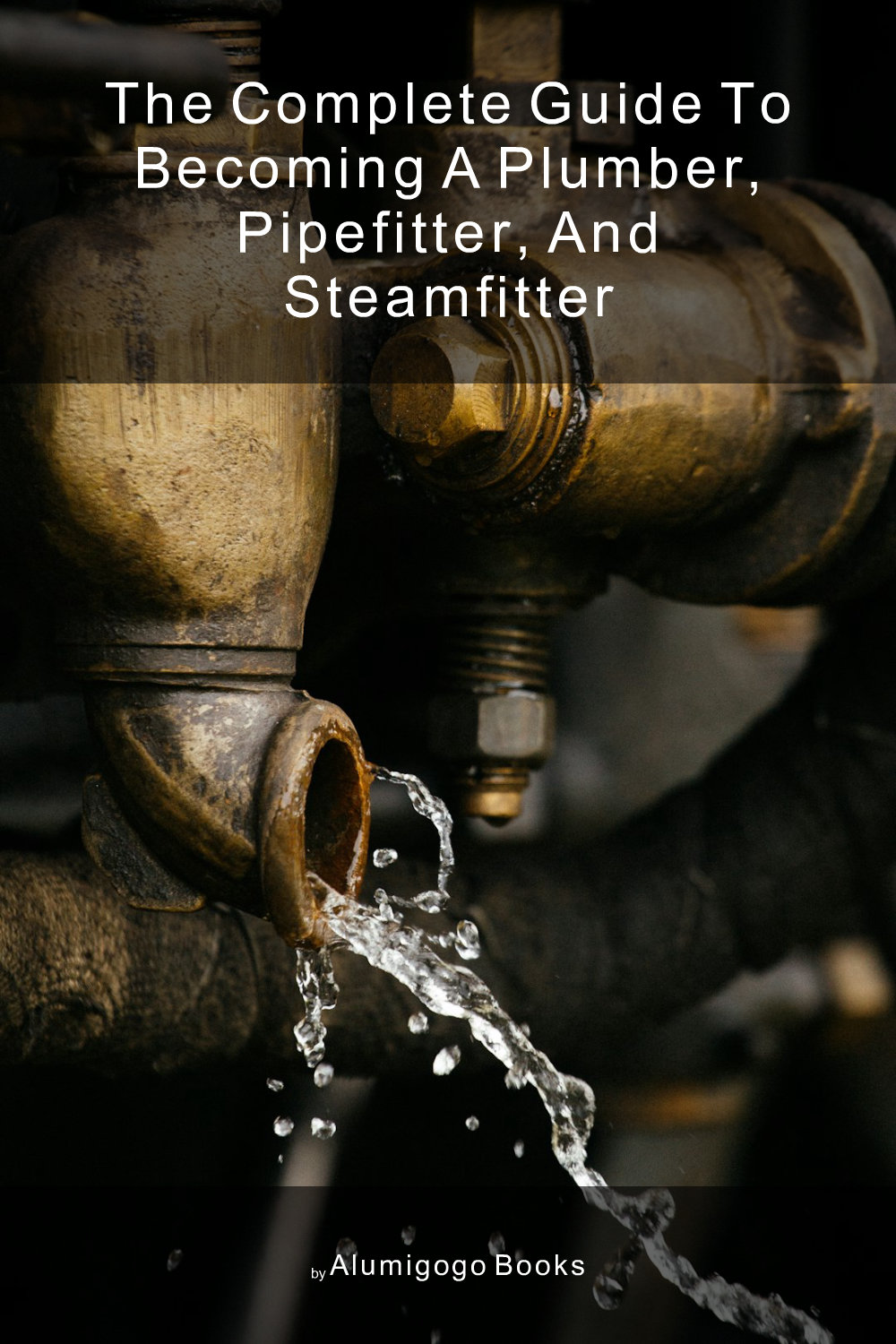 Cover of The Complete Guide to Becoming A Plumber, Pipefitter, and Steamfitter