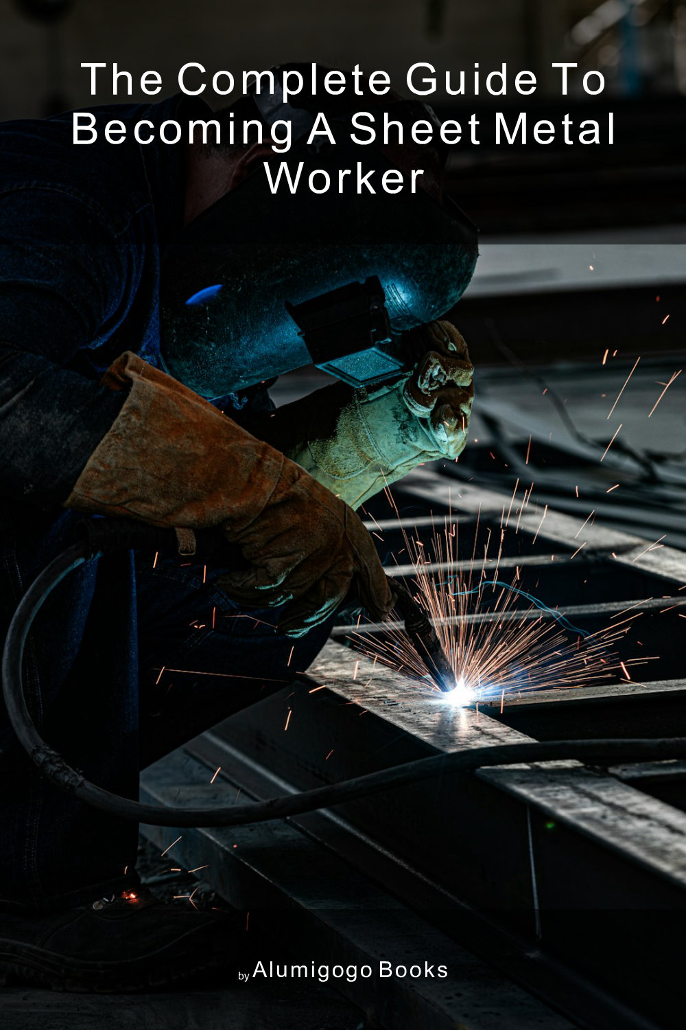 Cover of The Complete Guide to Becoming A Sheet Metal Worker