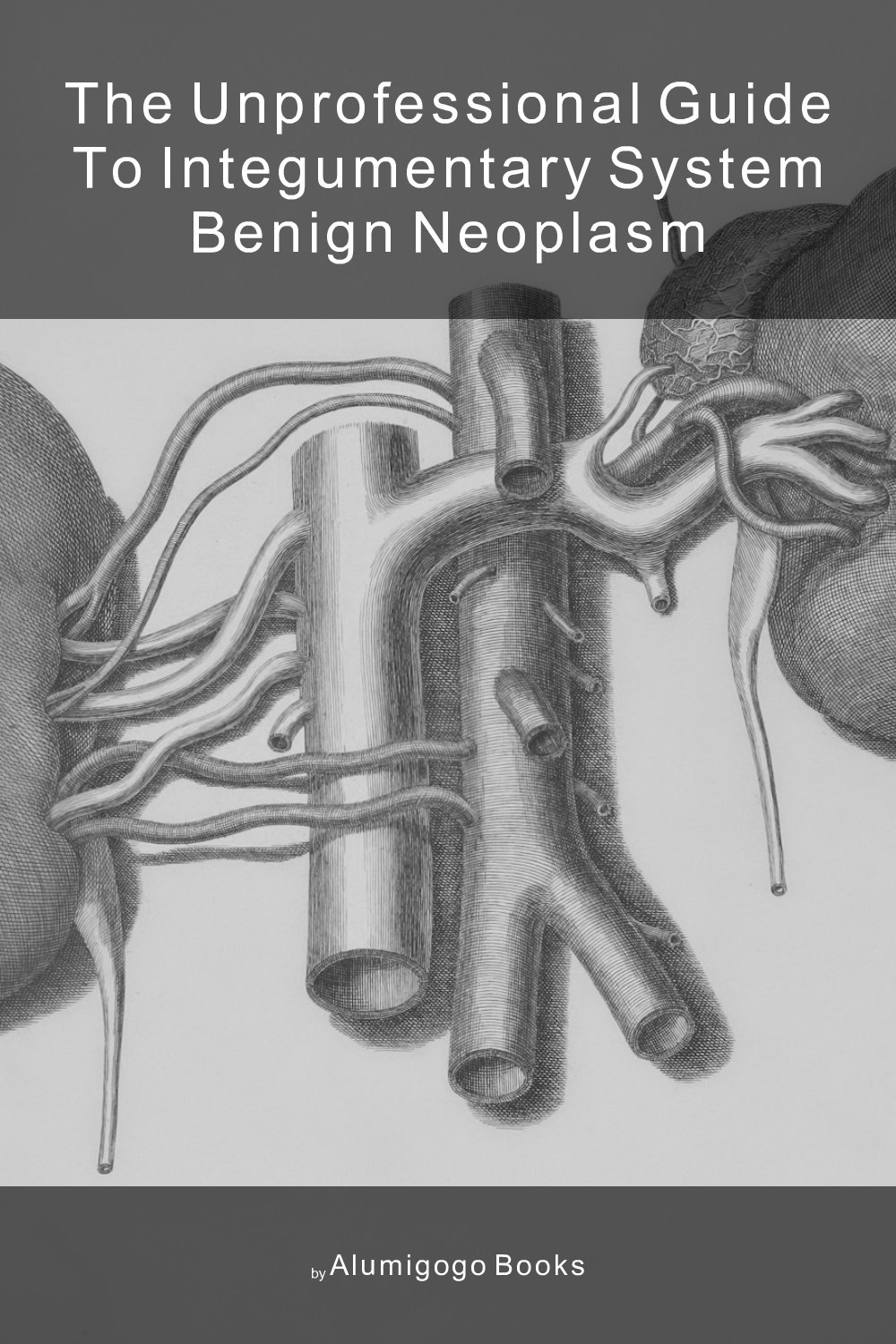 Cover of The Unprofessional Guide to integumentary system benign neoplasm
