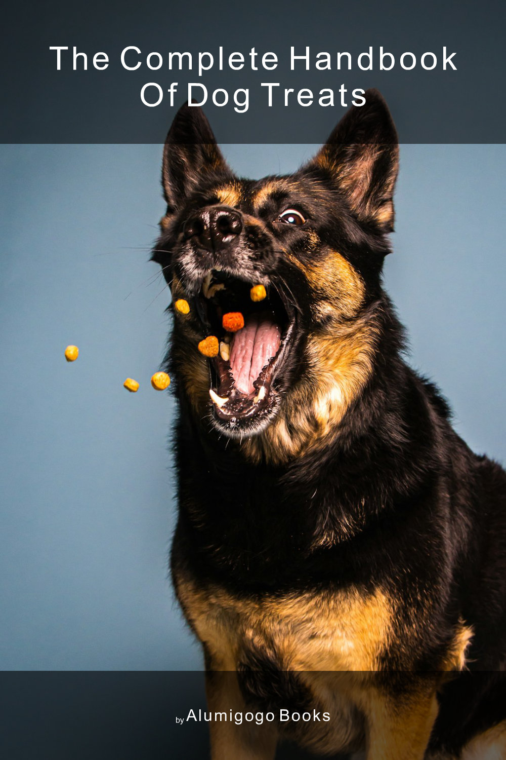 Cover of The Complete Handbook of Dog Treats
