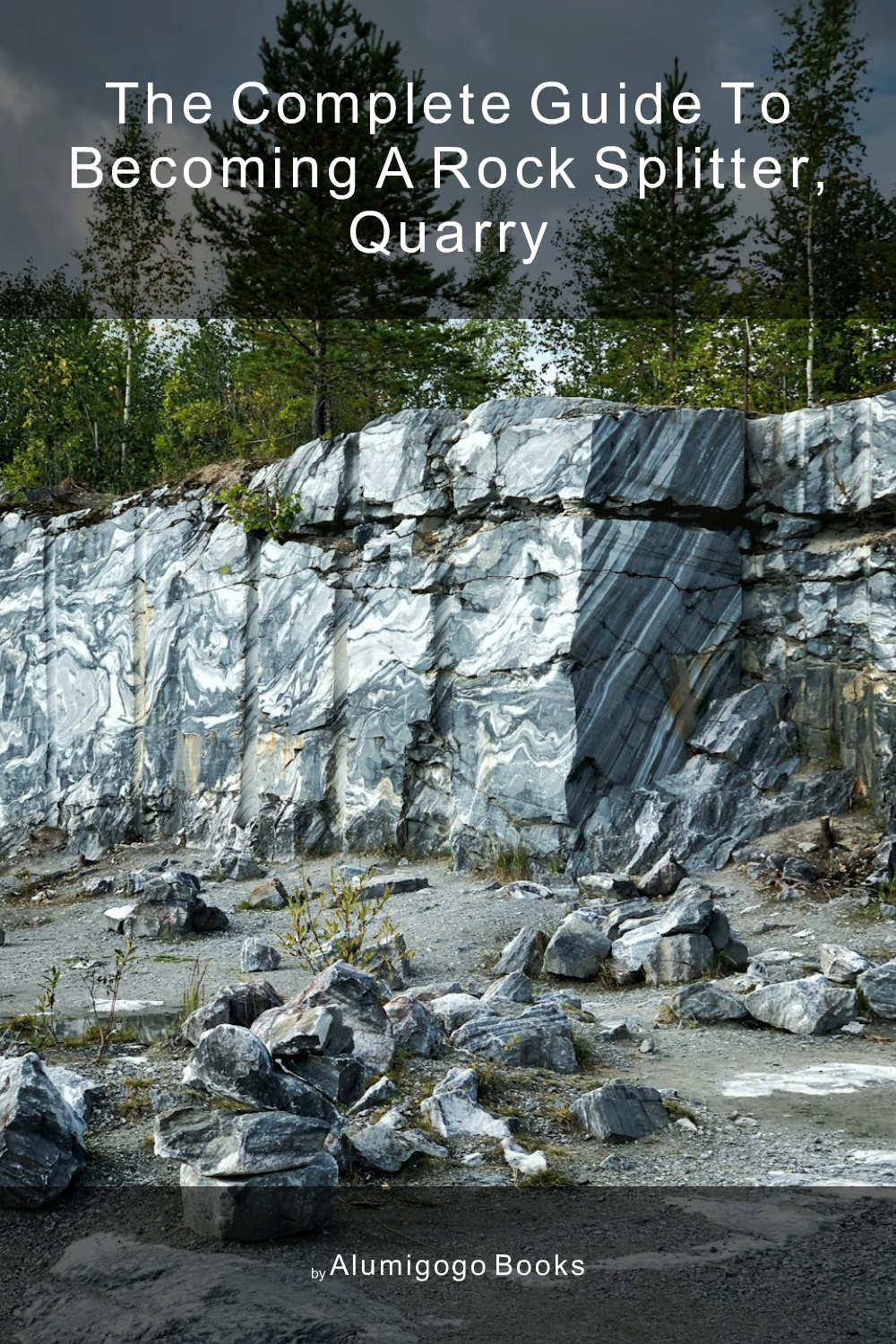 Cover of The Complete Guide to Becoming A Rock Splitter, Quarry