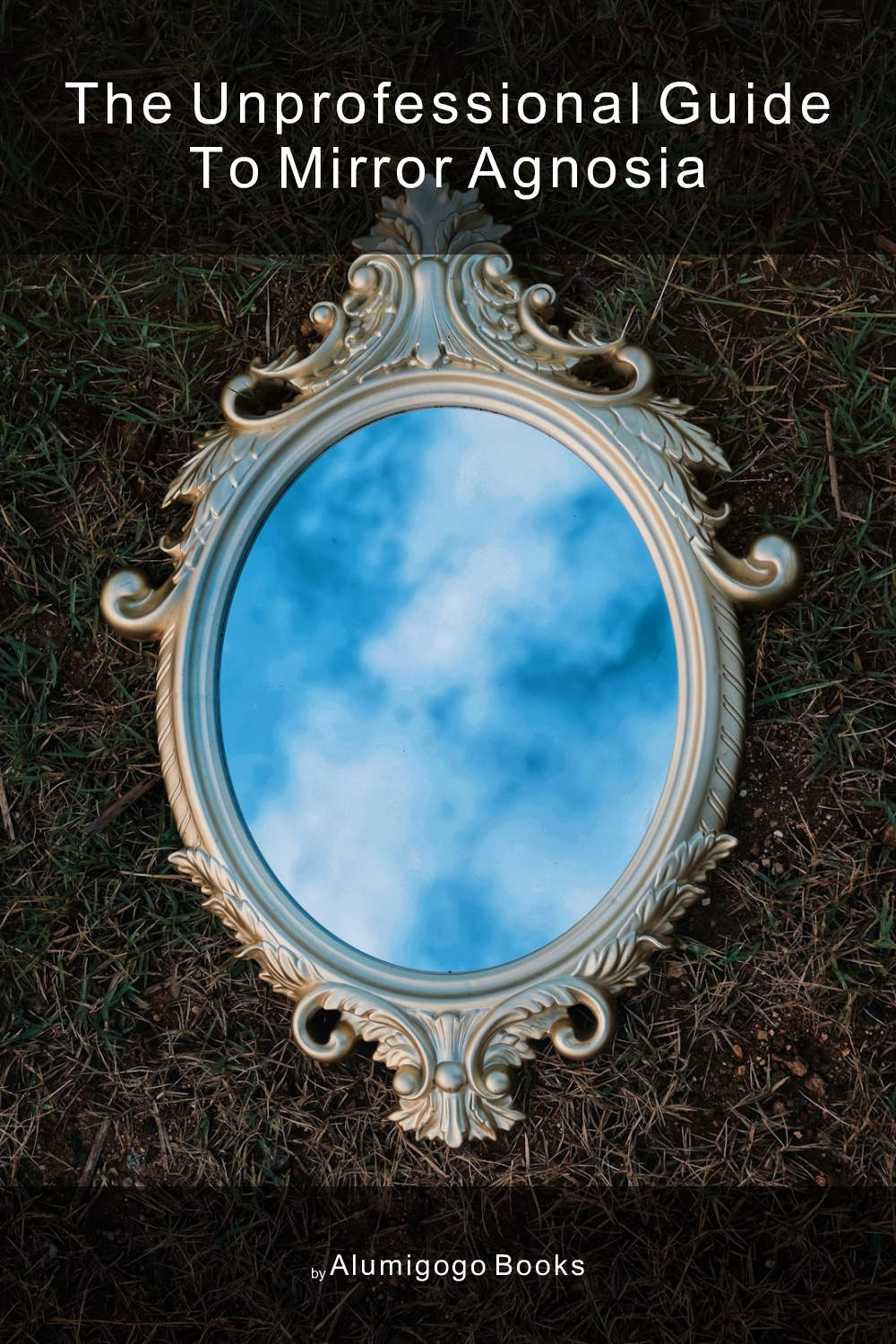 Cover of The Unprofessional Guide to mirror agnosia