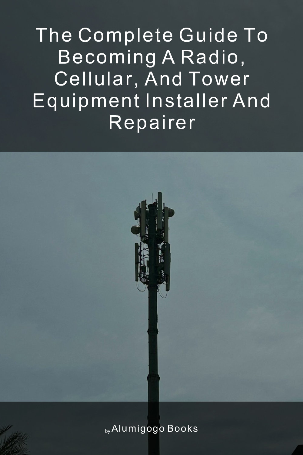 Cover of The Complete Guide to Becoming A Radio, Cellular, and Tower Equipment Installer and Repairer
