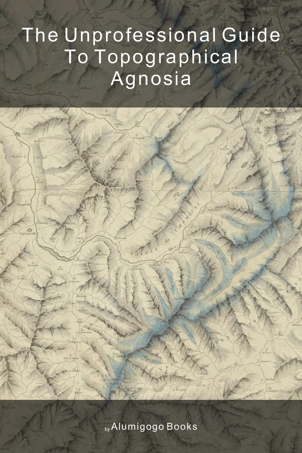 Cover of The Unprofessional Guide to topographical agnosia
