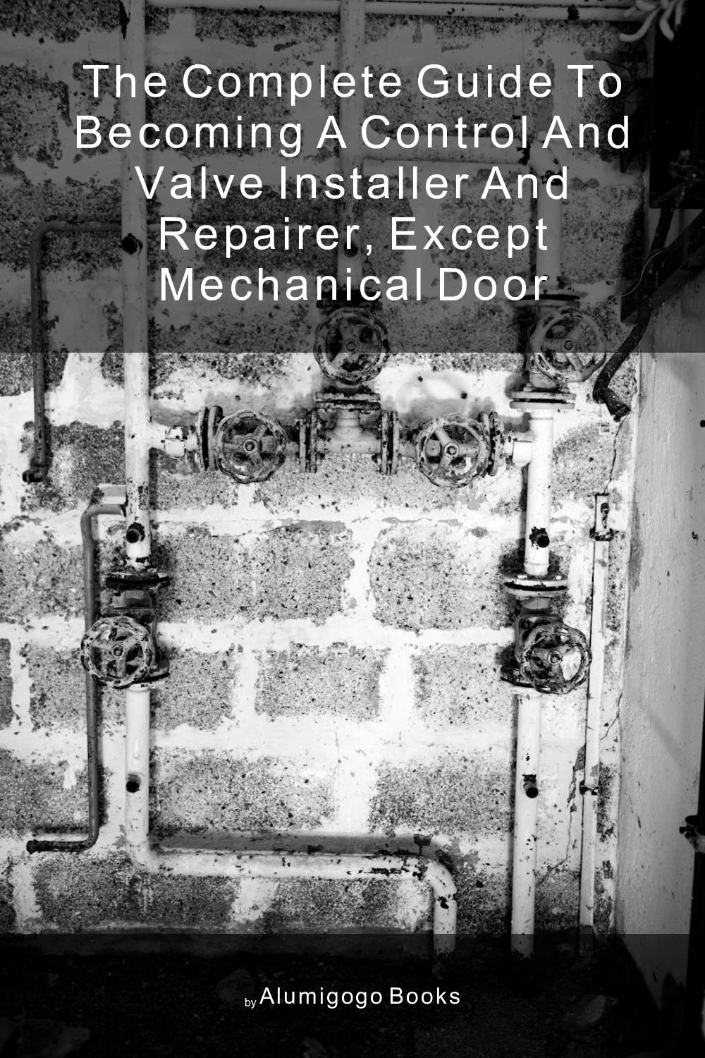 Cover of The Complete Guide to Becoming A Control and Valve Installer and Repairer, Except Mechanical Door