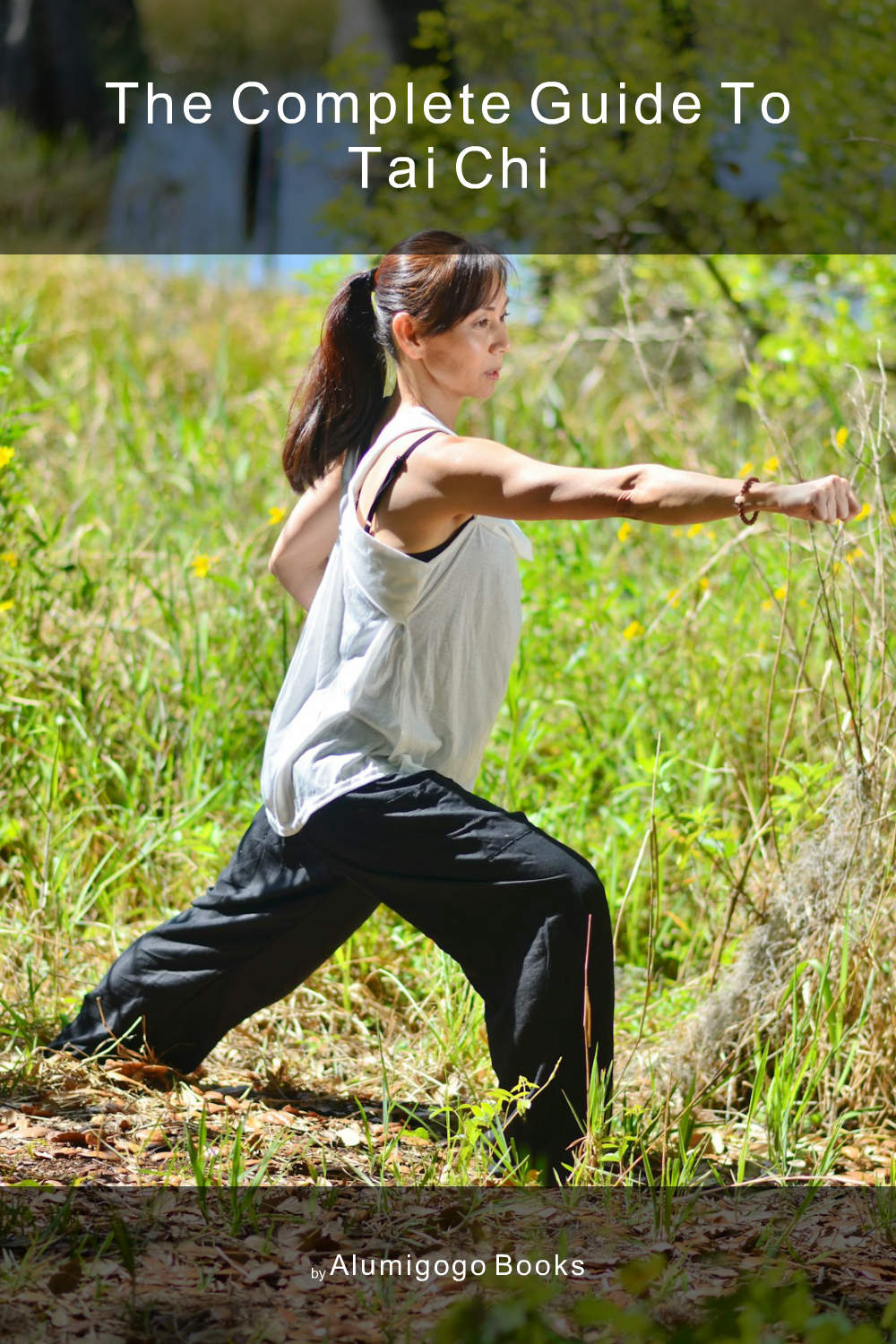 Cover of The Complete Guide to Tai Chi