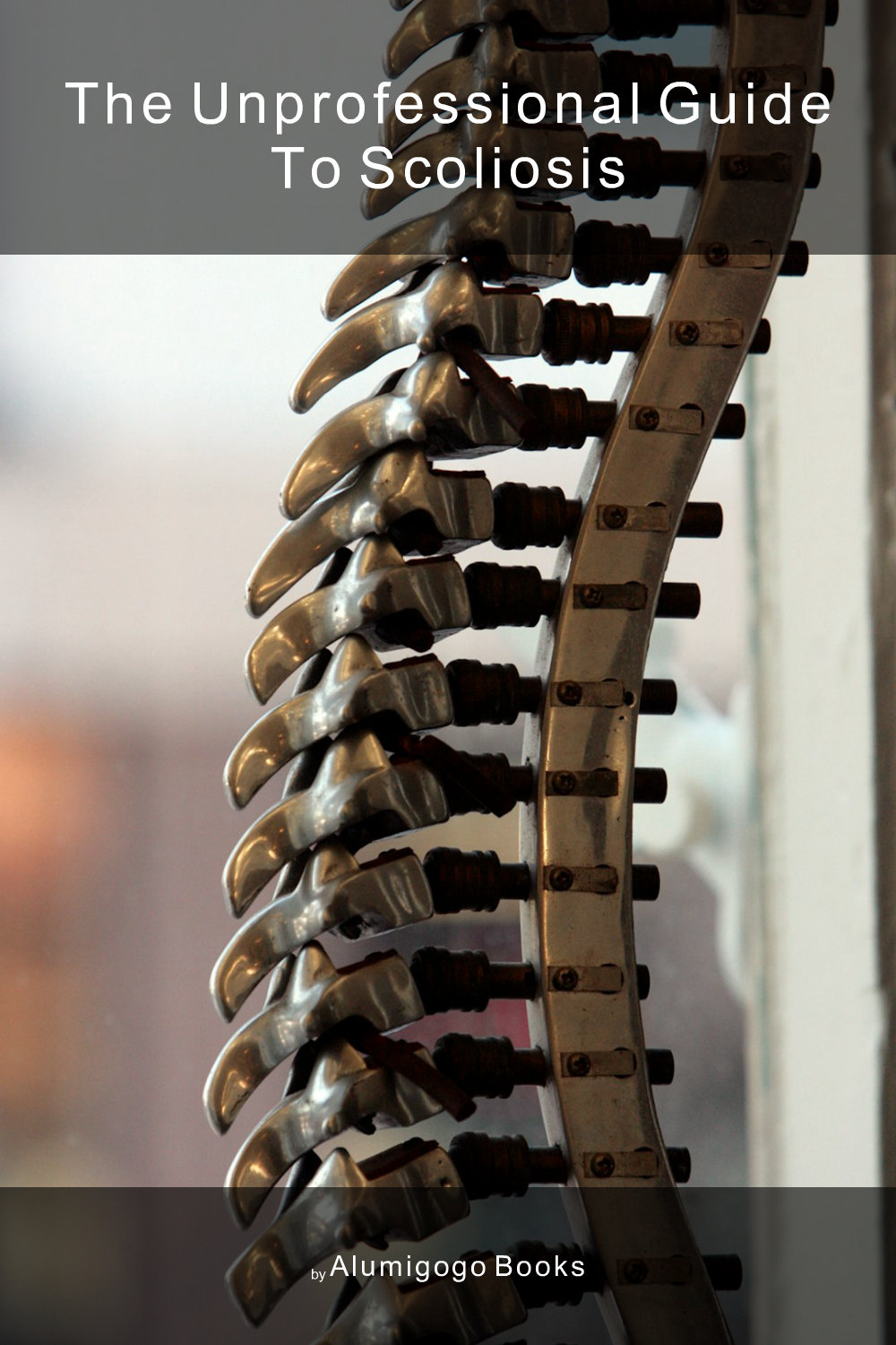 Cover of The Unprofessional Guide to scoliosis