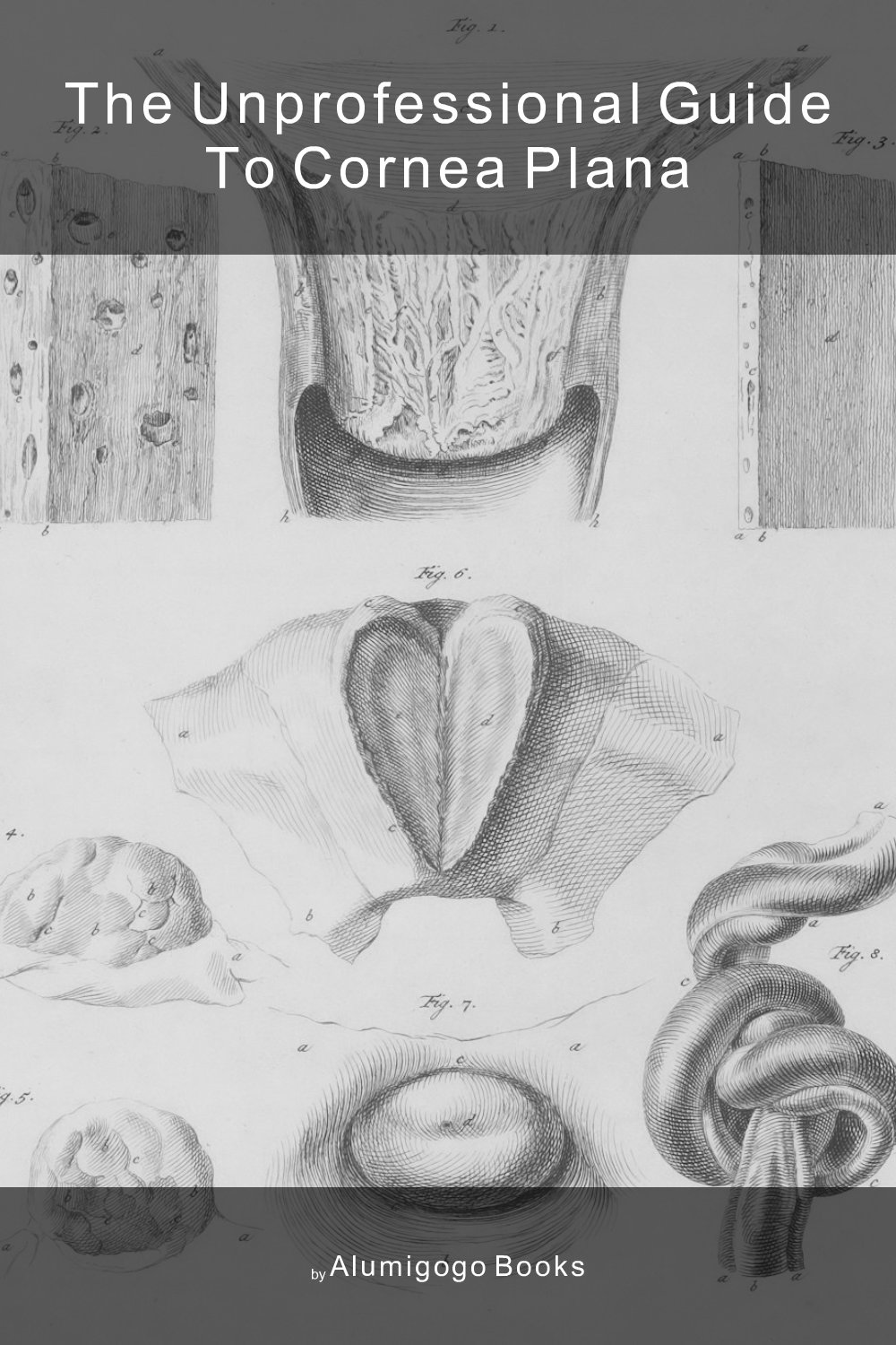 Cover of The Unprofessional Guide to cornea plana