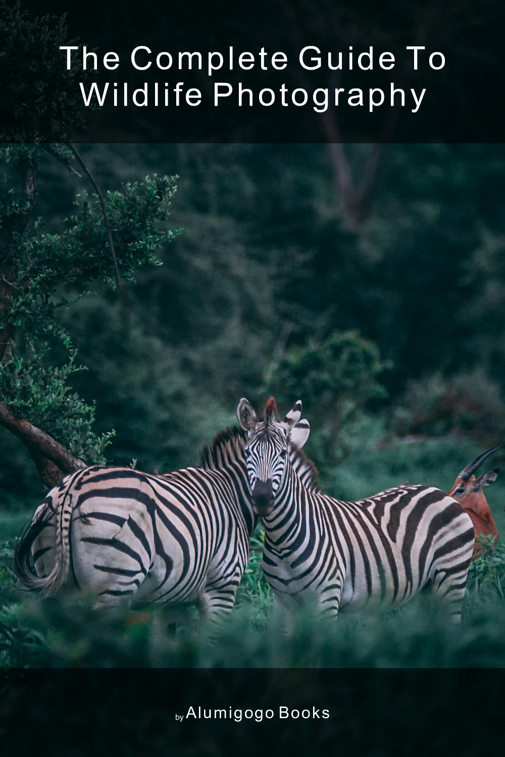 Cover of The Complete Guide to Wildlife Photography