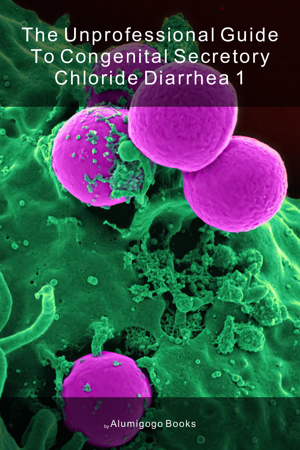 Cover of The Unprofessional Guide to congenital secretory chloride diarrhea 1