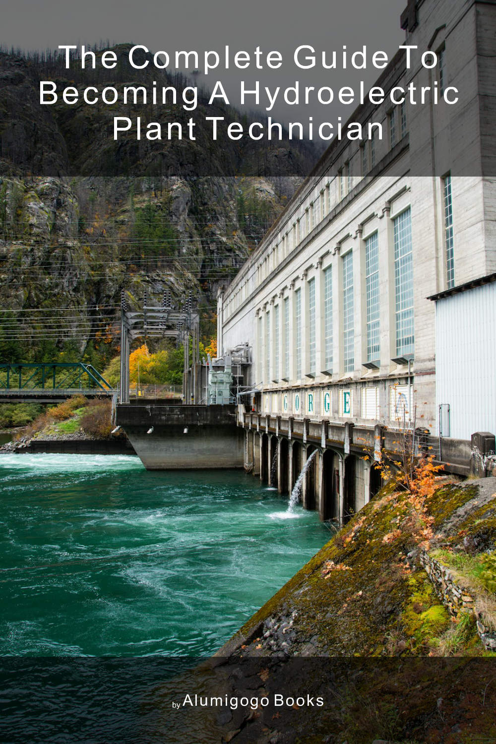 Cover of The Complete Guide to Becoming A Hydroelectric Plant Technician