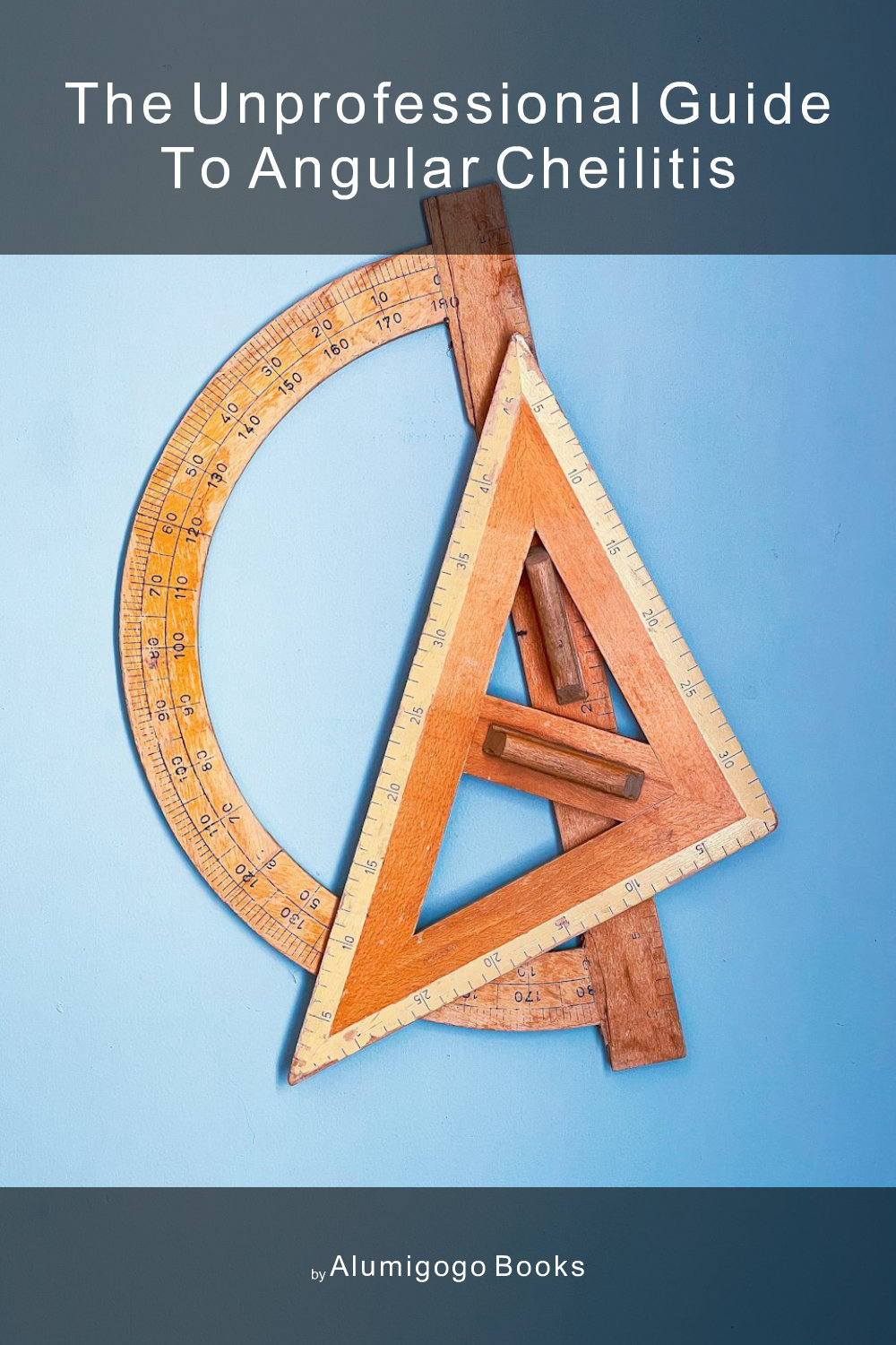 Cover of The Unprofessional Guide to angular cheilitis