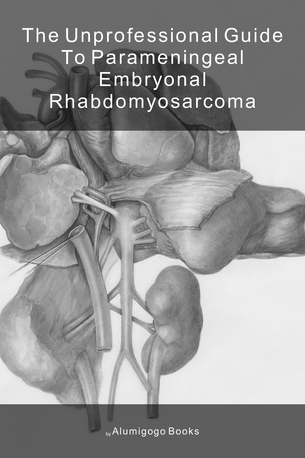Cover of The Unprofessional Guide to parameningeal embryonal rhabdomyosarcoma
