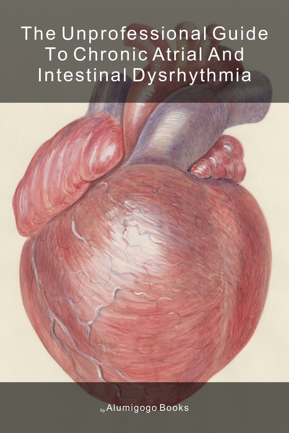Cover of The Unprofessional Guide to chronic atrial and intestinal dysrhythmia
